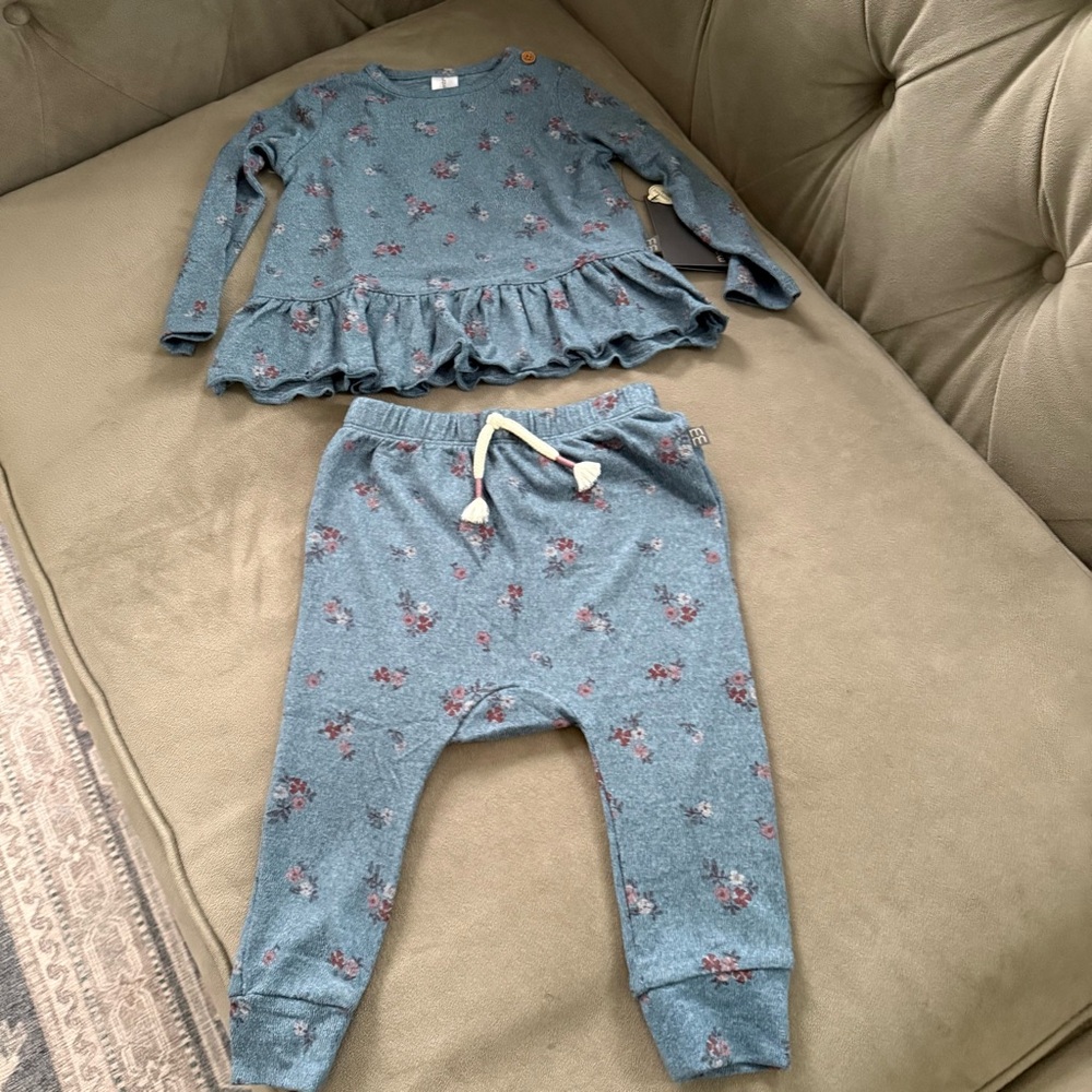NWT Gerber Modern Moments Blue Ruffled Floral Baby Girl Set, Size 12 Months
